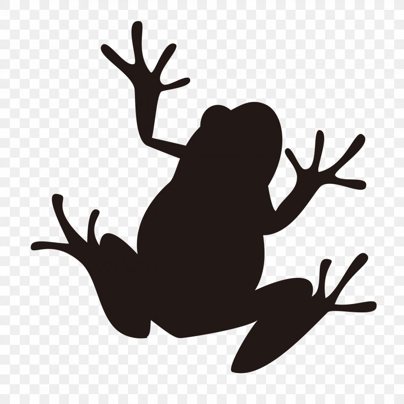 Frog Silhouette Illustration Image Amphibians, PNG, 2598x2598px, Frog, Amphibian, Amphibians, Animal, Antler Download Free