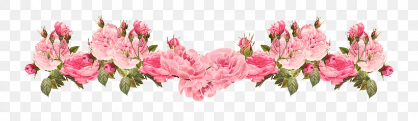 Pink Flowers Rose Clip Art, PNG, 1600x465px, Flower, Blossom, Color, Cut Flowers, Floral Design Download Free