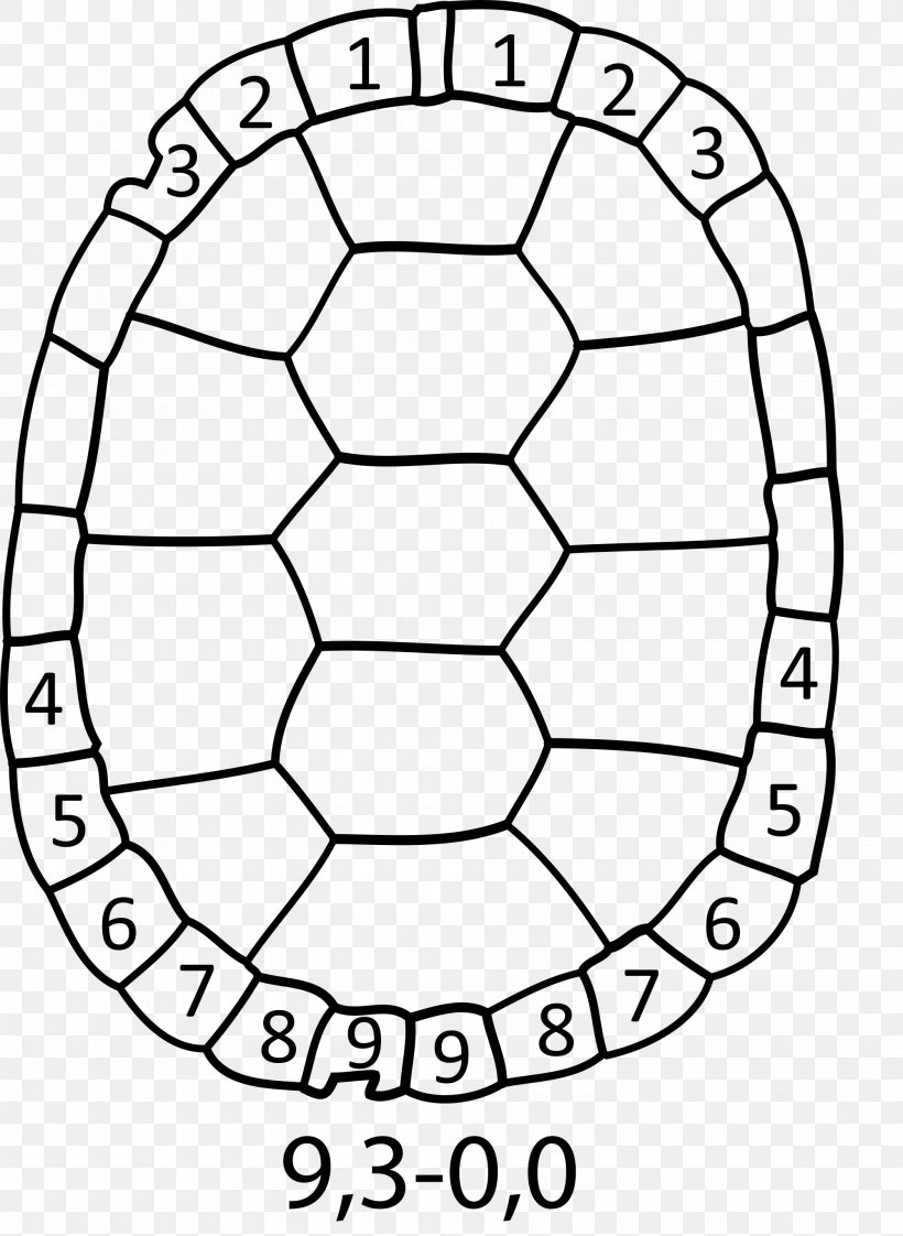 Turtle Shell Painted Turtle Sea Turtle Drawing, PNG, 2000x2737px, Turtle, Area, Ball, Black And White, Box Turtle Download Free