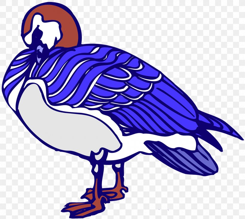 Beak Water Bird Cobalt Blue Vulture, PNG, 1200x1072px, Beak, Artwork, Bird, Blue, Cobalt Download Free
