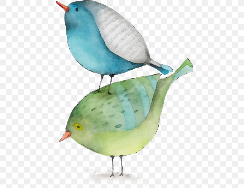 Bird Beak Perching Bird, PNG, 481x632px, Watercolor, Beak, Bird, Paint, Perching Bird Download Free