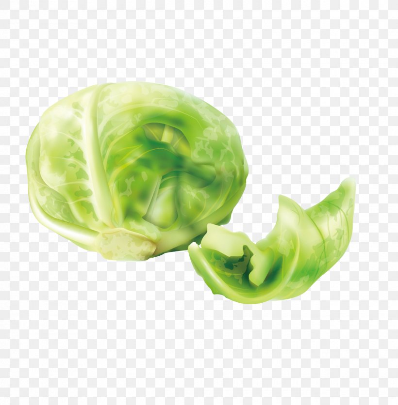 Cabbage Cruciferous Vegetables Lettuce, PNG, 1240x1265px, Cabbage, Brassica Oleracea, Chinese Cabbage, Cruciferous Vegetables, Food Download Free