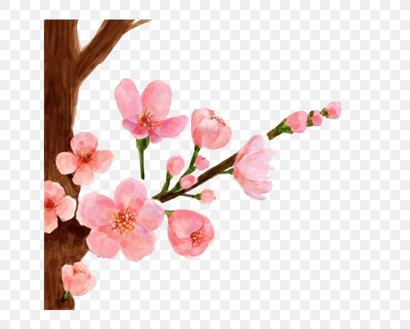 Cherry Blossom Watercolor Painting Spring Peach Blossom, PNG, 658x658px, Cherry Blossom, Blossom, Branch, Cut Flowers, Drawing Download Free