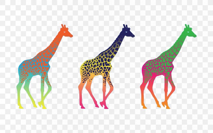 Giraffe Desktop Wallpaper Display Resolution High-definition Television, PNG, 1680x1050px, 4k Resolution, Giraffe, Animal, Computer, Computer Monitors Download Free
