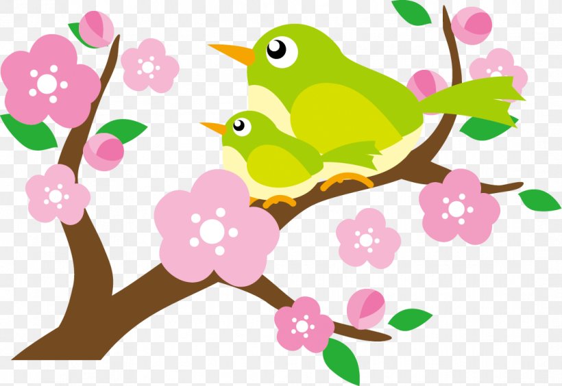 Illustration Of Beautiful Plum Blossoms And Bunny, PNG, 1084x746px, Floral Design, Artwork, Beak, Bird, Branch Download Free