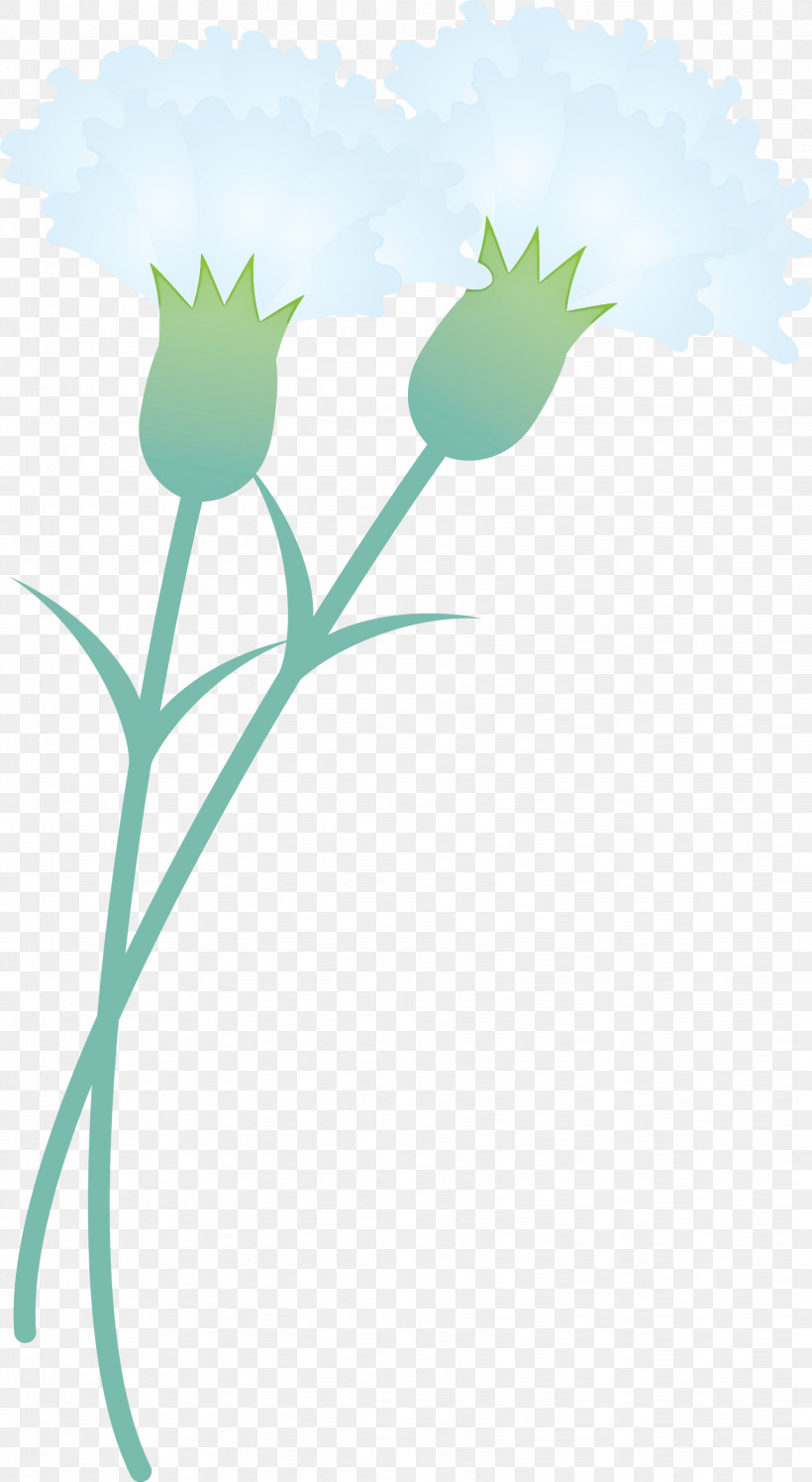 Mothers Day Carnation Mothers Day Flower, PNG, 1644x2999px, Mothers Day Carnation, Flower, Grass, Mothers Day Flower, Pedicel Download Free