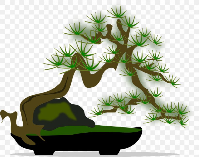 National Bonsai Foundation Penjing Tree Clip Art, PNG, 907x720px, Bonsai, Drawing, Flowerpot, Grass, Houseplant Download Free