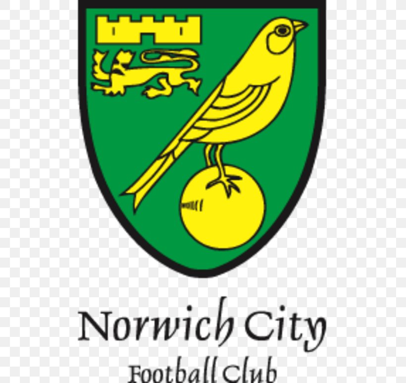 Norwich City F.C. Under-23s And Academy Carrow Road The Nest Southampton F.C., PNG, 773x773px, Norwich City Fc, Area, Association Football Manager, Beak, Bird Download Free