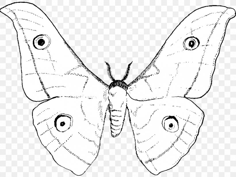 Nymphalidae Moth Line Art Butterfly Drawing, PNG, 920x693px, Nymphalidae, Artwork, Black And White, Brush Footed Butterfly, Butterfly Download Free