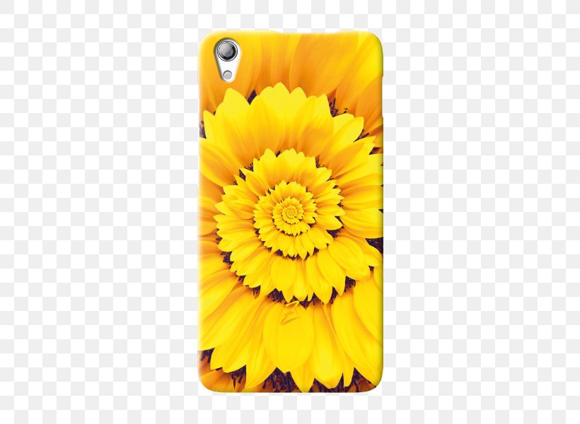 Transvaal Daisy Sunflower M Mobile Phone Accessories Marigolds Mobile Phones, PNG, 500x600px, Transvaal Daisy, Calendula, Daisy Family, Flower, Flowering Plant Download Free
