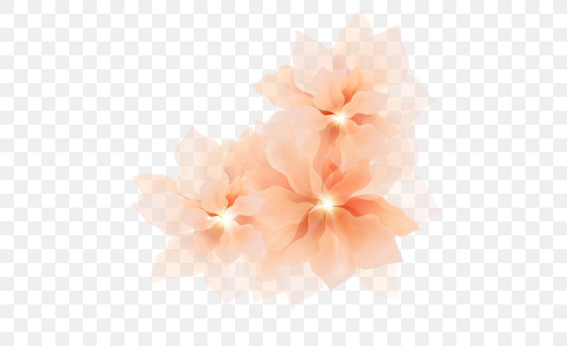 Hibiscus Desktop Wallpaper Computer Pink M Wallpaper, PNG, 500x500px, Hibiscus, Computer, Flower, Flowering Plant, Mallow Family Download Free