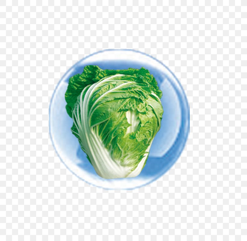 Leaf Vegetable Vegetarian Cuisine Dish Food Vegetarianism, PNG, 800x800px, Leaf Vegetable, Dish, Food, Leaf, Vegetable Download Free