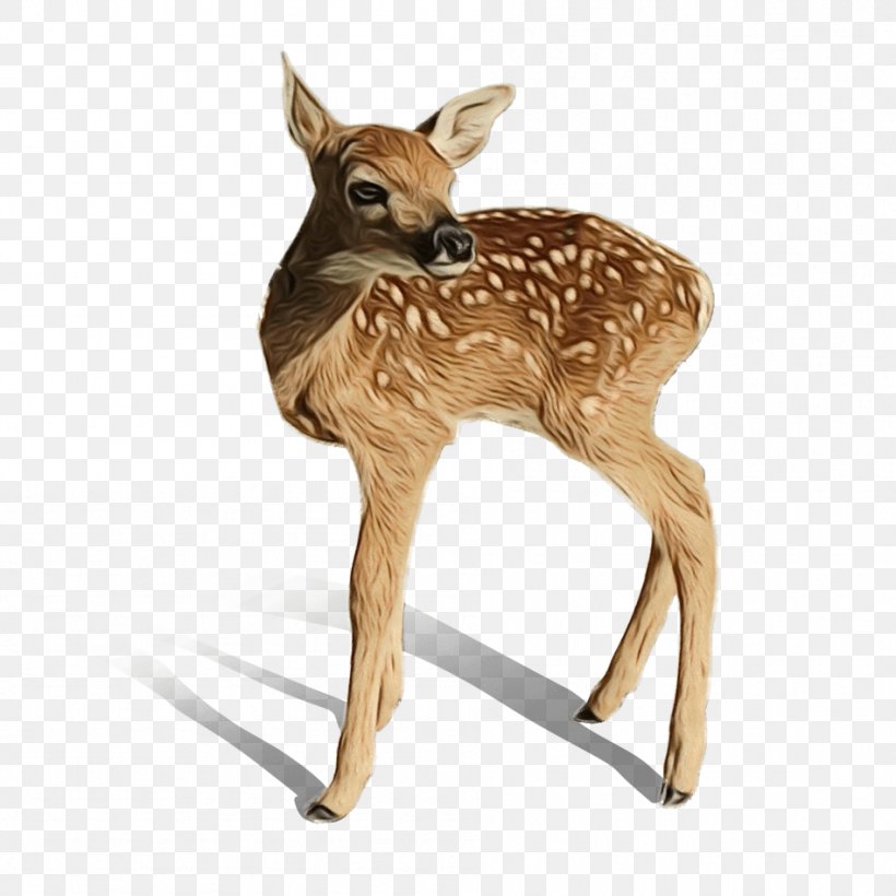Animal Cartoon, PNG, 948x948px, Whitetailed Deer, Animal, Animal Figure, Antler, Deer Download Free