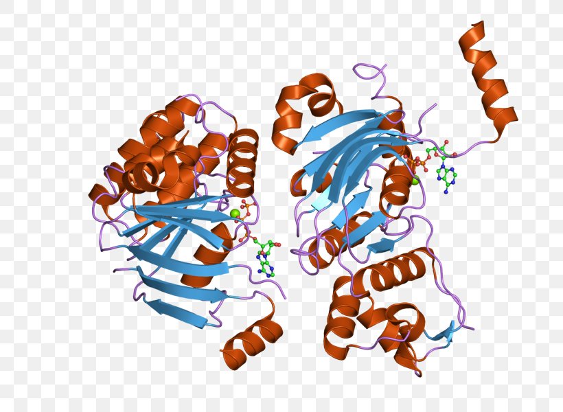 Cystic Fibrosis Transmembrane Conductance Regulator ΔF508 Gene Membrane Protein Chloride Channel, PNG, 800x600px, Gene, Art, Chloride, Chloride Channel, Chromosome 7 Download Free