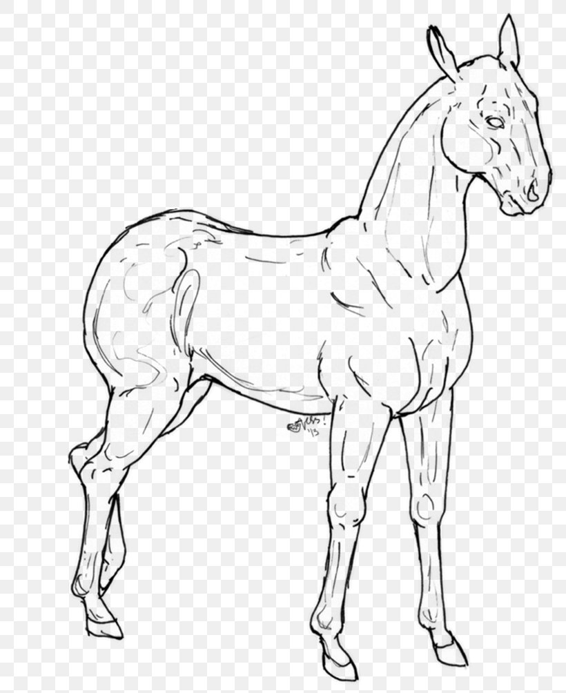 Mule Mustang Foal Bridle Colt, PNG, 795x1004px, Mule, Animal Figure, Artwork, Black And White, Bridle Download Free