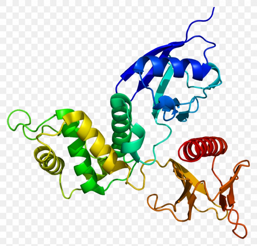 Protein Tertiary Structure Radixin PRKCD Protein Kinase C, PNG, 913x876px, Protein, Animal Figure, Art, Artwork, Ezrin Download Free
