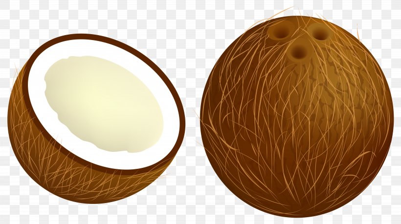 Coconut Vector Clipart Image, PNG, 6162x3455px, Coconut, Arecaceae, Cashew, Drupe, Egg Download Free