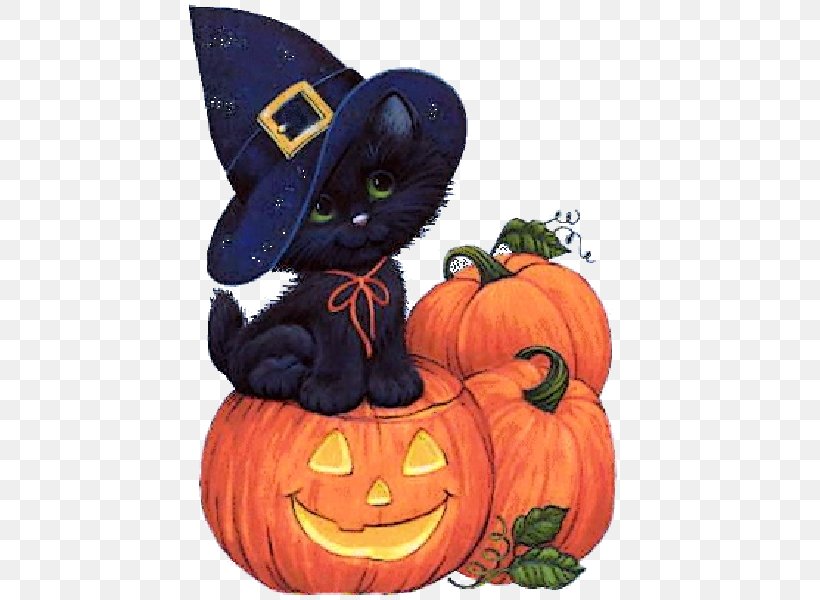 Halloween Party 31 October Blog Witch, PNG, 600x600px, 31 October, Halloween, Blog, Calabaza, Carnivoran Download Free