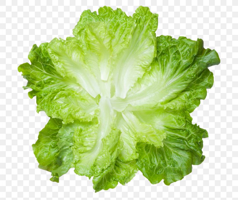 Lettuce Vegetable Food Meat, PNG, 1024x860px, Lettuce, Cabbage, Food, Health, Leaf Download Free