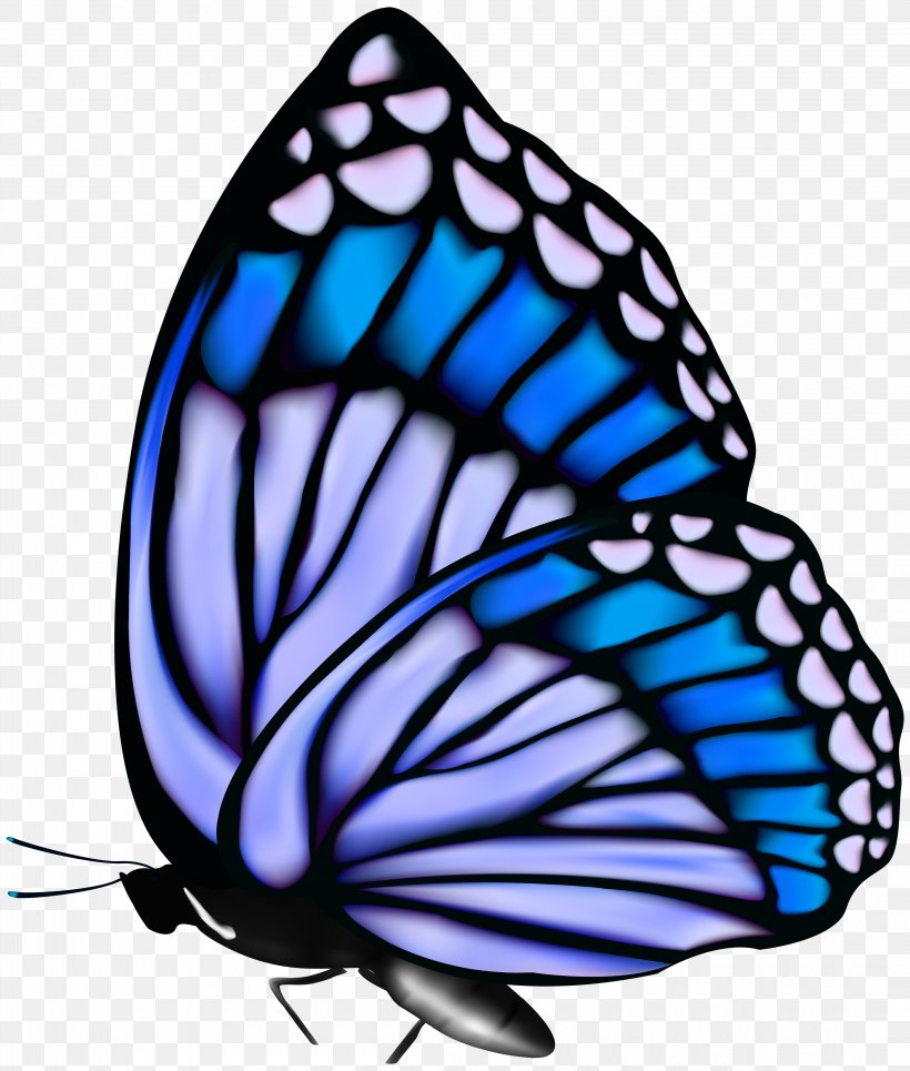 Monarch Butterfly Clip Art, PNG, 4245x5000px, Butterfly, Brush Footed Butterfly, Butterflies And Moths, Google Images, Image Resolution Download Free