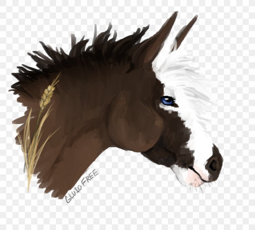 Mustang Stallion Halter Rein Pack Animal, PNG, 942x848px, Mustang, Halter, Head, Horse, Horse Like Mammal Download Free
