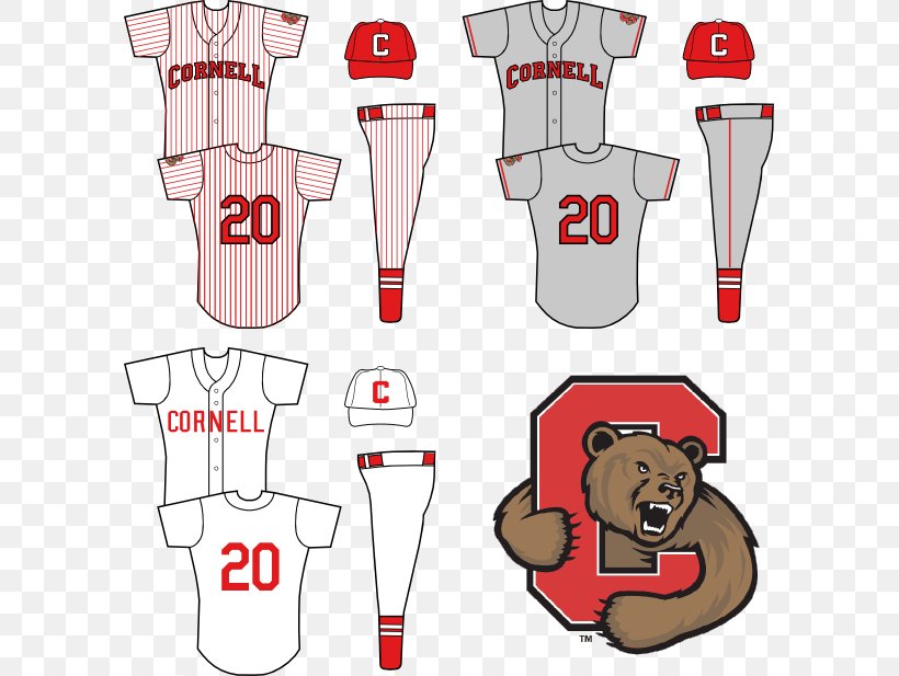 Cornell Big Red Baseball Cornell University Uniform Clip Art, PNG, 593x617px, Cornell Big Red Baseball, Area, Clothing, Cornell Big Red, Cornell University Download Free