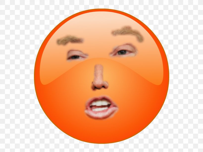 Donald Trump United States Shrug Emoji Republican Party, PNG, 1023x767px, Donald Trump, Actor, Cheek, Democratic Party, Election Download Free