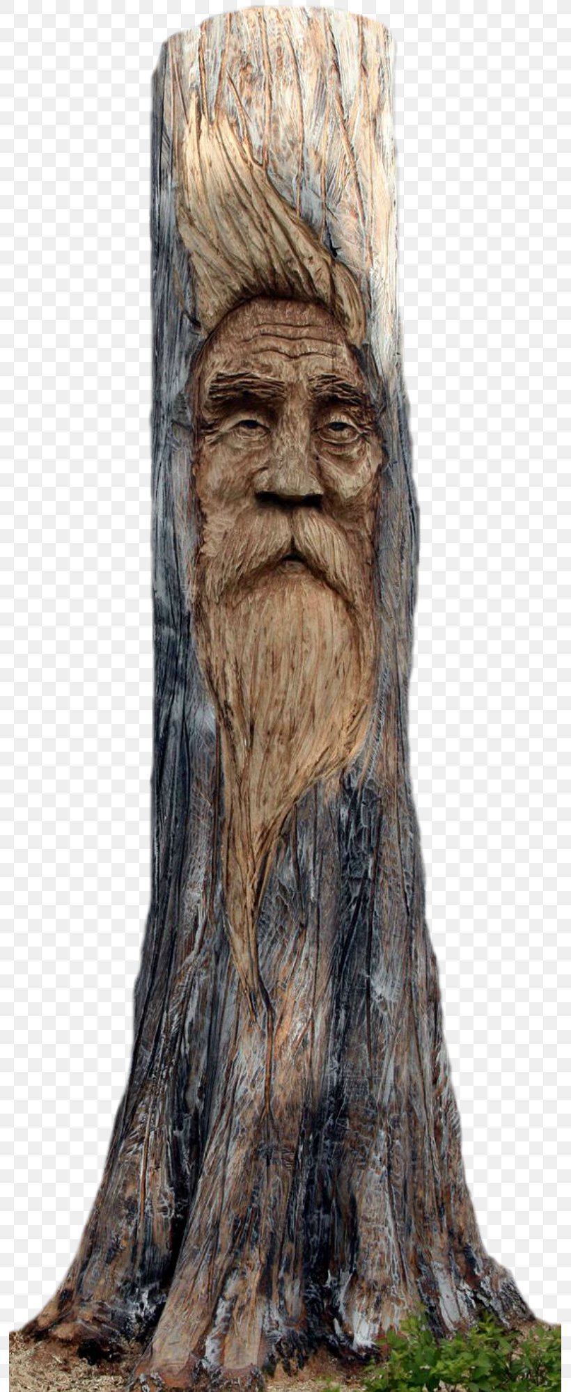 Tree Stump Wood Carving Chainsaw Carving, PNG, 793x2000px, Tree, Art, Baumgeist, Bench, Carving Download Free