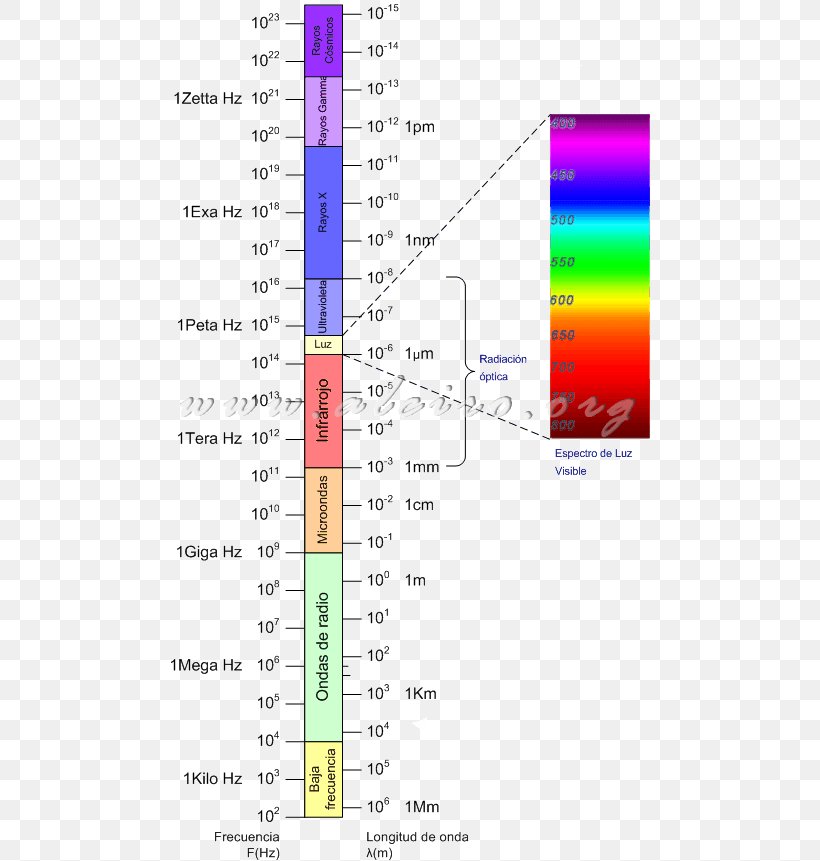 Light Visible Spectrum Electromagnetic Spectrum Radiation, PNG, 481x861px, Light, Area, Color, Diagram, Eguzkierradiazio Download Free