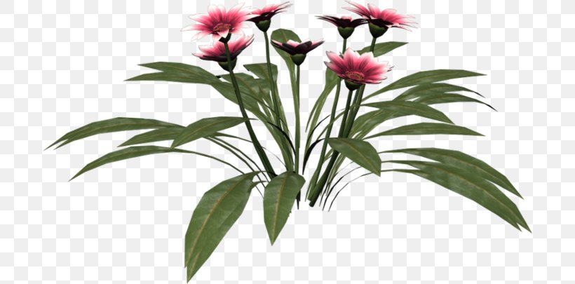 Cut Flowers Flowerpot Plant Stem Petal, PNG, 700x405px, Cut Flowers, Family, Flora, Flower, Flowering Plant Download Free