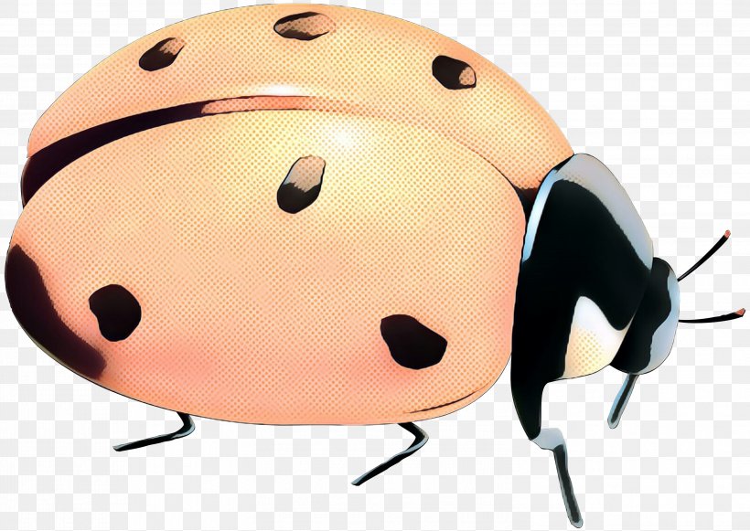 Helmet Insect Product Design Cartoon, PNG, 2999x2125px, Helmet, Cartoon, Insect, Invertebrate, Ladybug Download Free