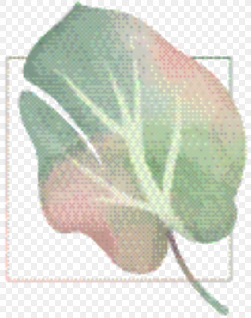 Sweet Pea Flower, PNG, 1074x1360px, Leaf, Anthurium, Flower, Green, Morning Glory Download Free