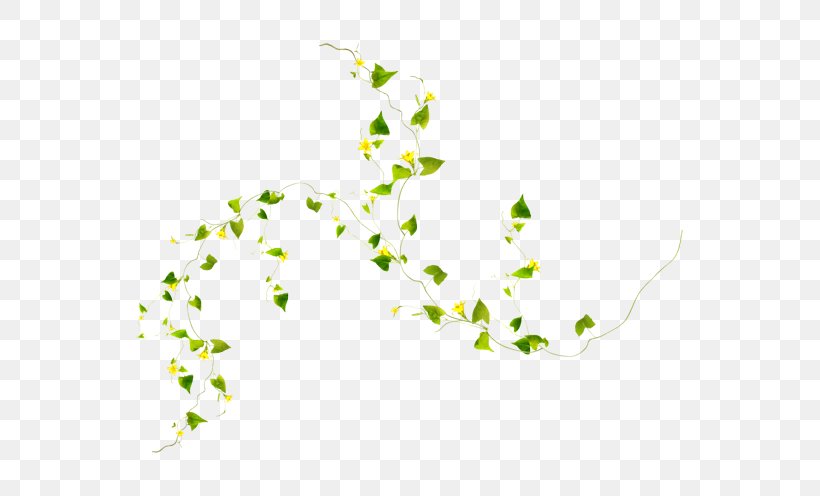 Green Leaf Background, PNG, 600x496px, Vine, Botany, Branch, Calameae, Flower Download Free