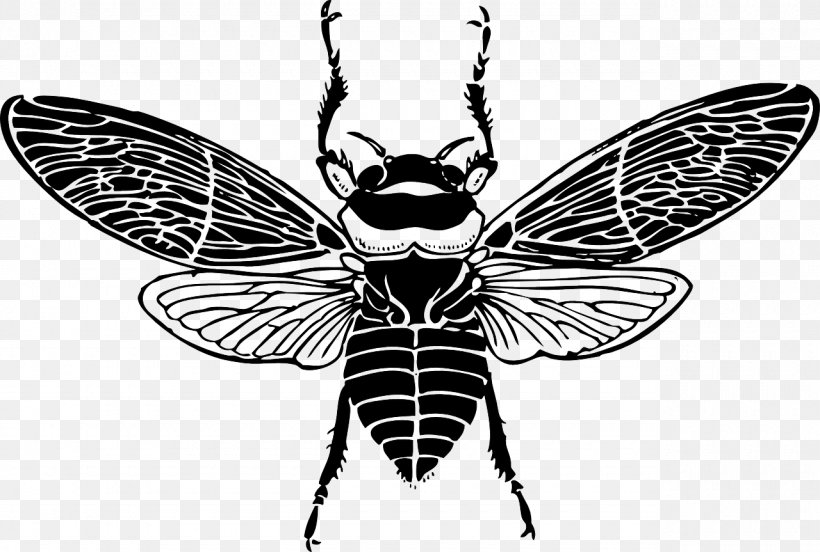 Honey Bee Clip Art, PNG, 1280x863px, Bee, Arthropod, Beehive, Black And White, Butterfly Download Free