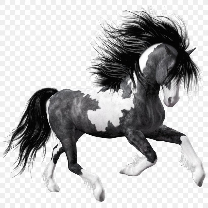 Horse Black Clip Art, PNG, 1750x1750px, Horse, Black, Black And White, Bridle, Cuteness Download Free