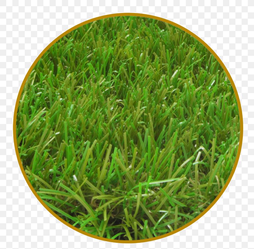 Italgreen SpA Artificial Turf Lawn Garden Grass, PNG, 800x803px, Italgreen Spa, Artificial Turf, Balcony, Garden, Grass Download Free