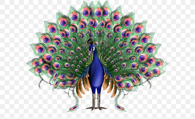 Krishna Animation Peafowl, PNG, 600x503px, Bird, Animation, Feather,  Galliformes, Peacock Dance Download Free