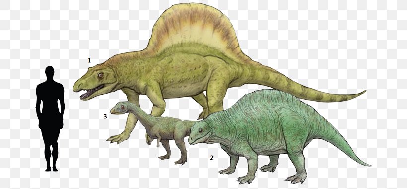 Tyrannosaurus Effigia Lotosaurus Arizonasaurus Spinosaurus, PNG, 698x382px, Tyrannosaurus, Acrocanthosaurus, Animal, Animal Figure, Archosaur Download Free