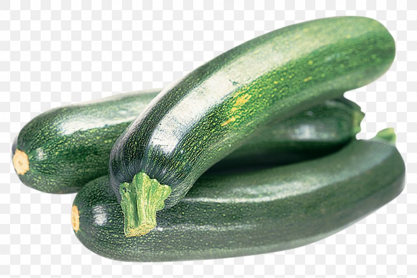 Zucchini Vegetable Cucumber Summer Squash, PNG, 1024x683px, Zucchini, Cucumber, Cucumber Gourd And Melon Family, Cucumis, Food Download Free