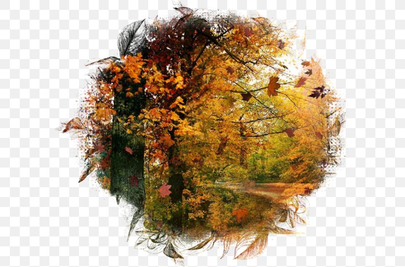 Autumn Desktop Wallpaper Season, PNG, 600x542px, Watercolor, Cartoon, Flower, Frame, Heart Download Free