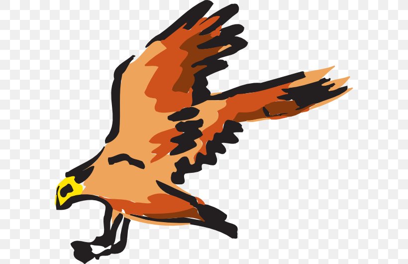 Bird Bald Eagle Red Clip Art, PNG, 600x530px, Bird, Bald Eagle, Beak, Bird Flight, Bird Of Prey Download Free