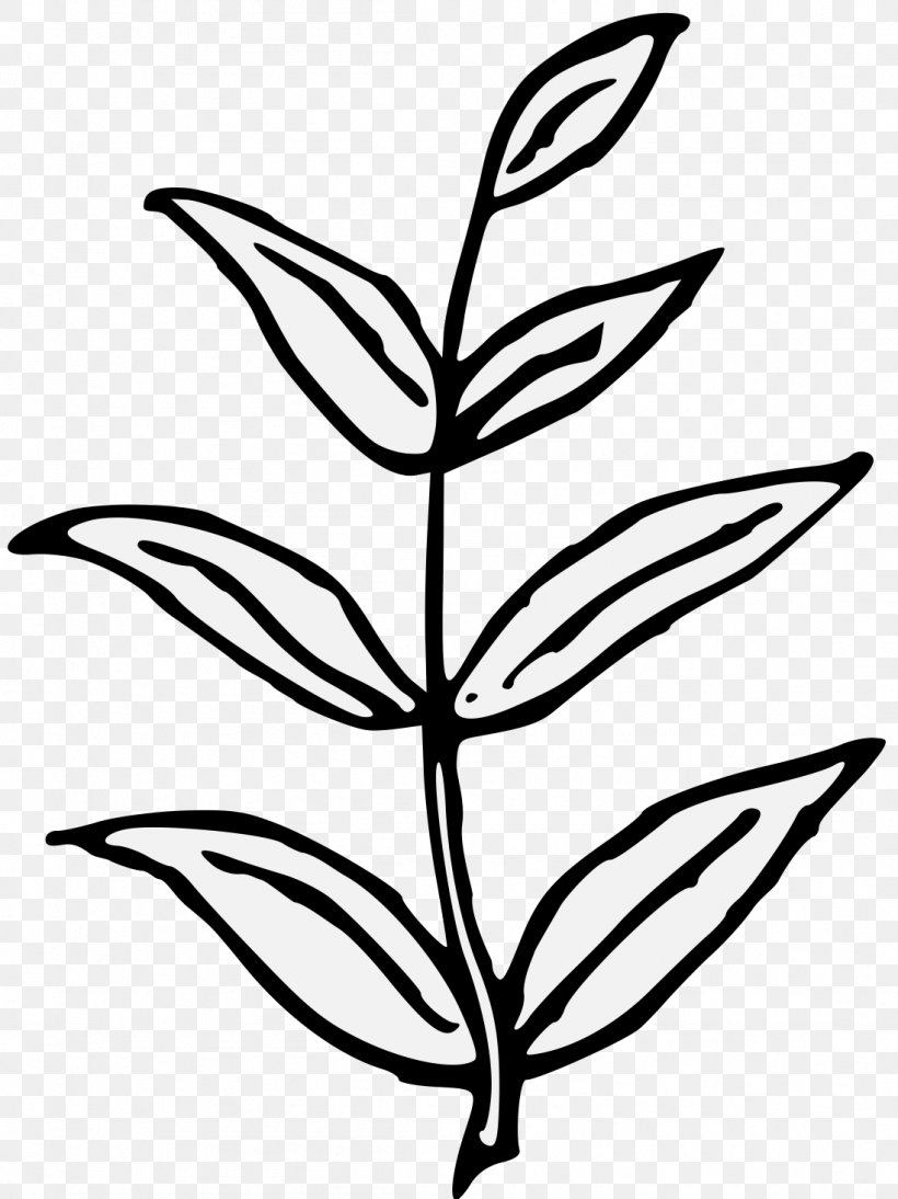Branch Plant Stem Art Tree Leaf, PNG, 1098x1465px, Branch, Art, Artwork, Beech, Black And White Download Free