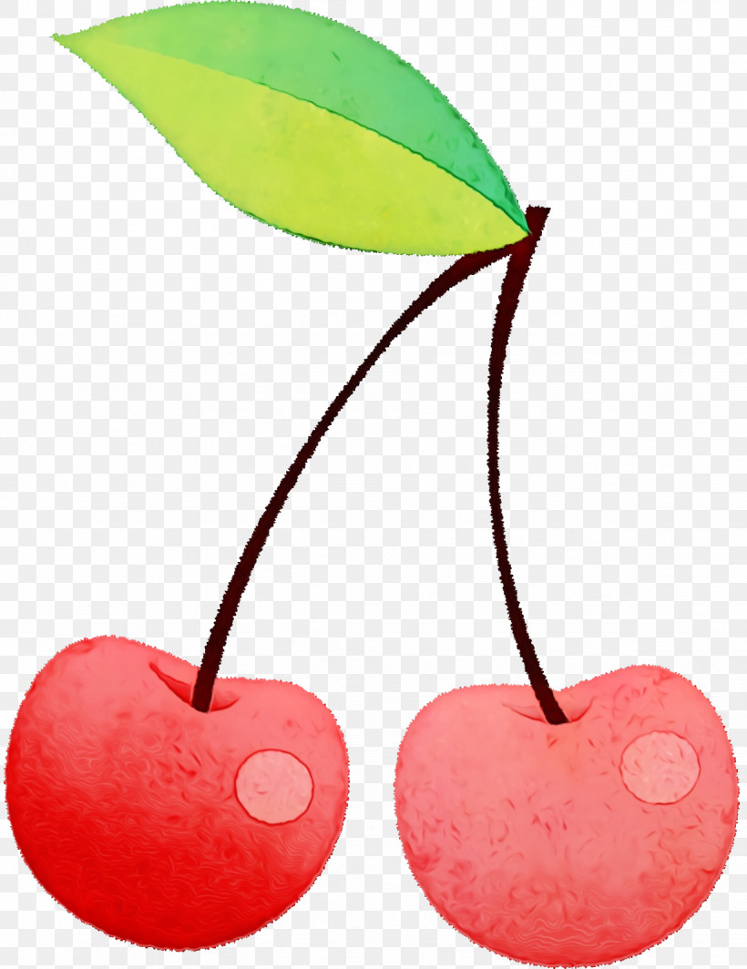 Cherry Fruit 2019, PNG, 1232x1600px, 2019, Watercolor, August, Cherry, Fruit Download Free
