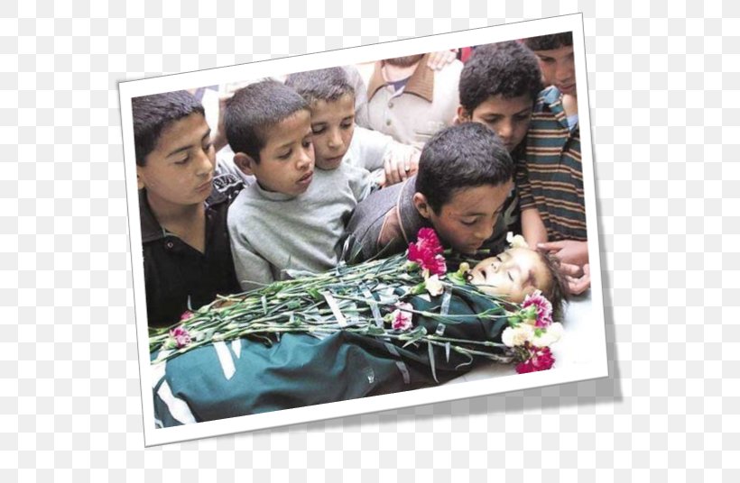 State Of Palestine Israeli–Palestinian Conflict Child, PNG, 575x536px, State Of Palestine, Child, Family, Floral Design, Floristry Download Free