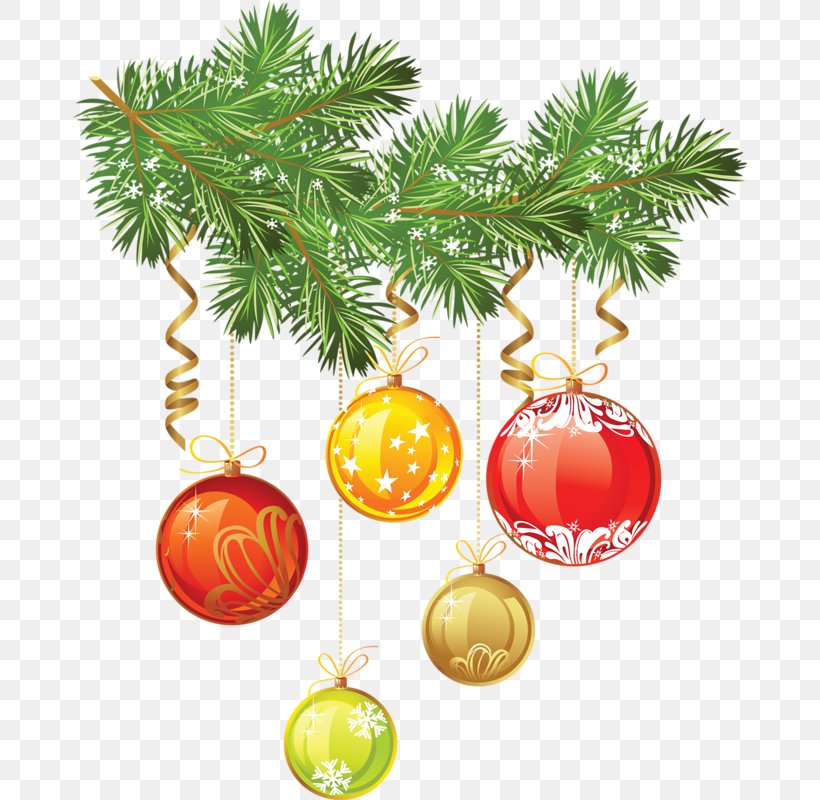 Christmas Tree Fir Christmas Tree, PNG, 674x800px, Christmas, Branch, Centro Vela Scuola Di Vela, Christmas Decoration, Christmas Ornament Download Free