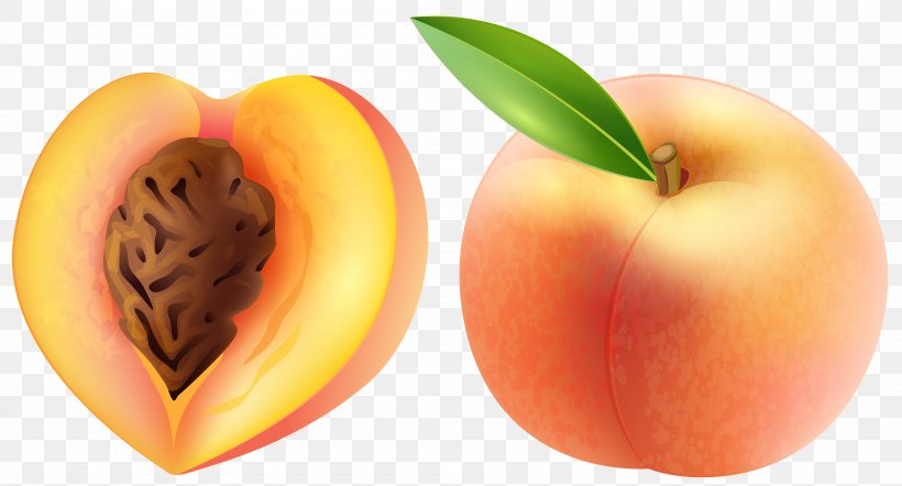 Peach Fruit Clip Art, PNG, 8000x4314px, Nectarine, Apple, Apricot, Diet Food, Food Download Free