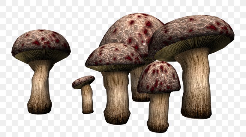 Poisonous Mushroom Fungus Clip Art, PNG, 800x457px, Mushroom, Agaricus, Food, Fungus, Ingredient Download Free