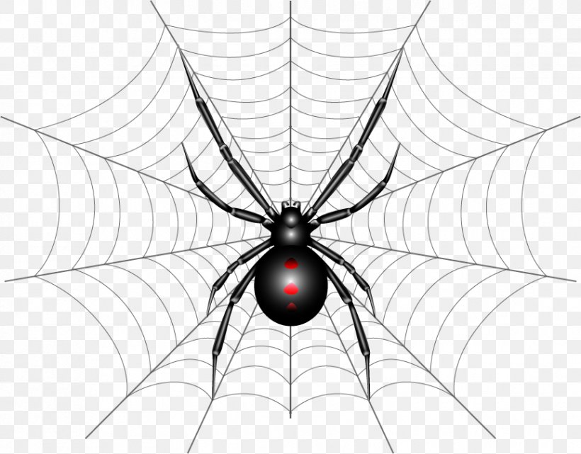 black widow spider drawing