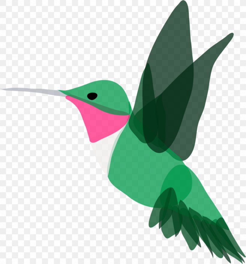 Beak Hummingbird M Leaf Clip Art, PNG, 863x926px, Beak, Bird, Fauna, Green, Hummingbird Download Free