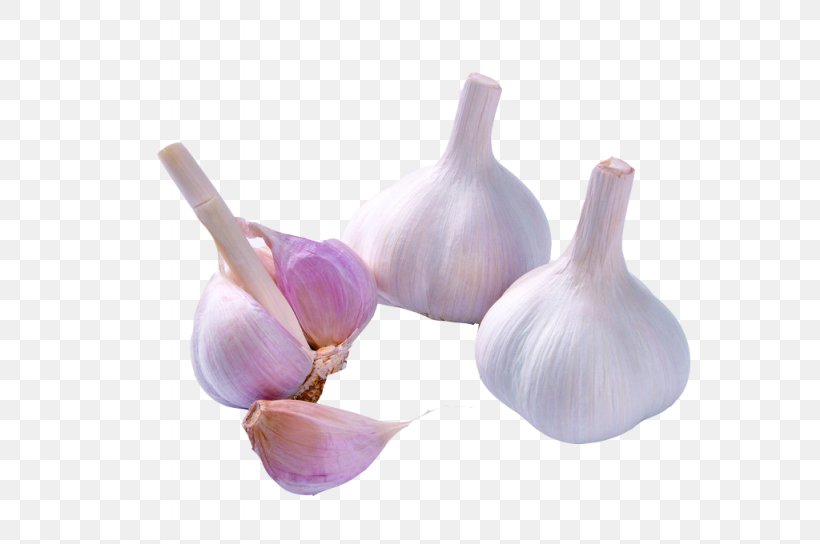 Garlic, PNG, 1024x680px, Garlic, Digital Camera, Dish, Food, Garlic Bread Download Free